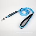 Nylon Pet Dog Bungee Leash with Snap Hook